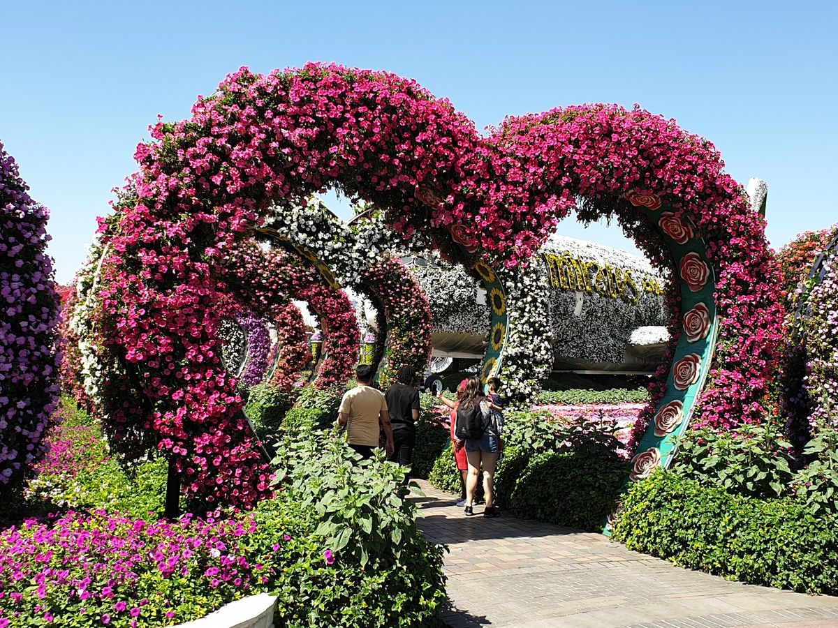 Herzförmige Blumenbögen im Dubai Miracle Garden